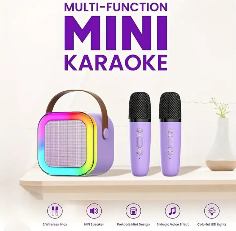 2 Mic Karaoke System