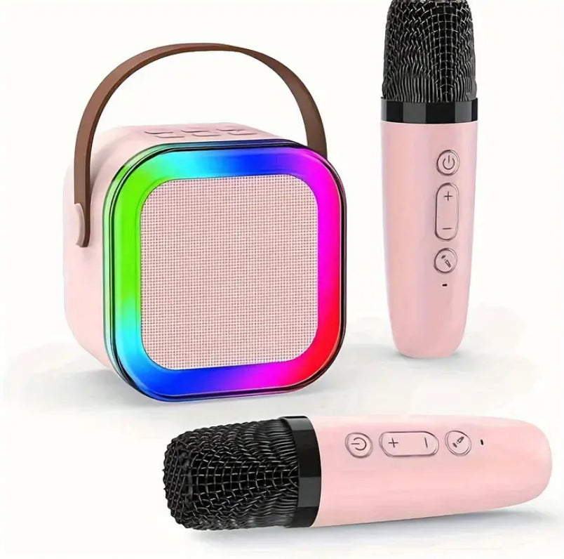 2 Mic Karaoke System