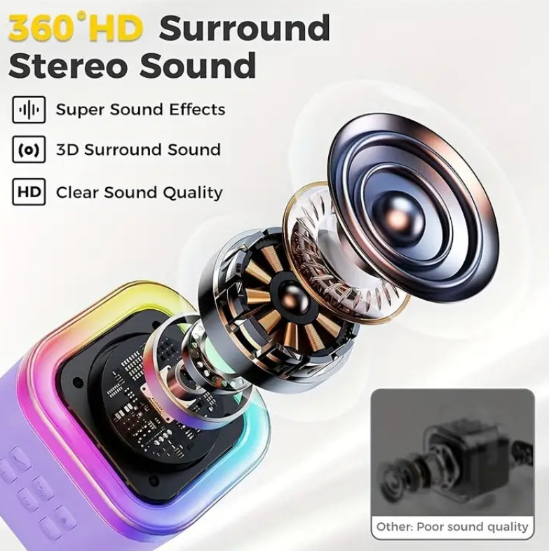 2 Mic Karaoke System