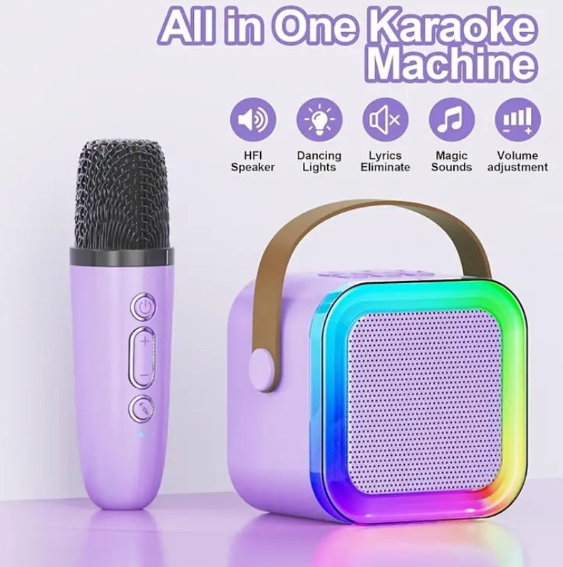 2 Mic Karaoke System