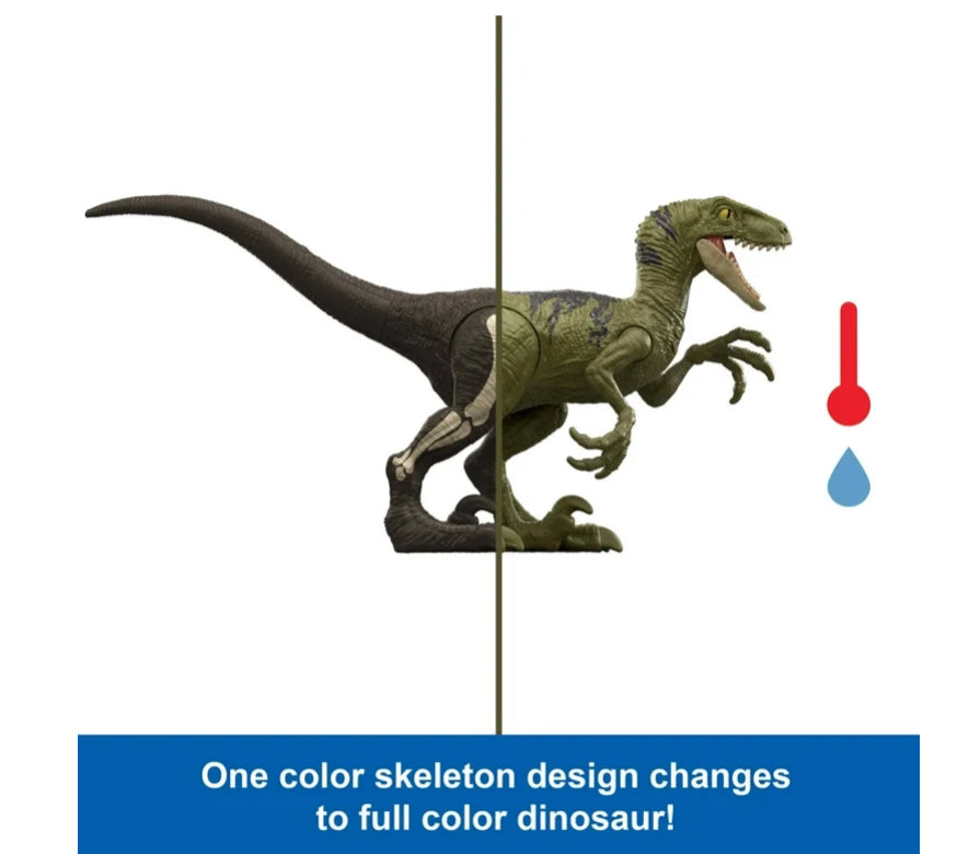 Dinosaur Set