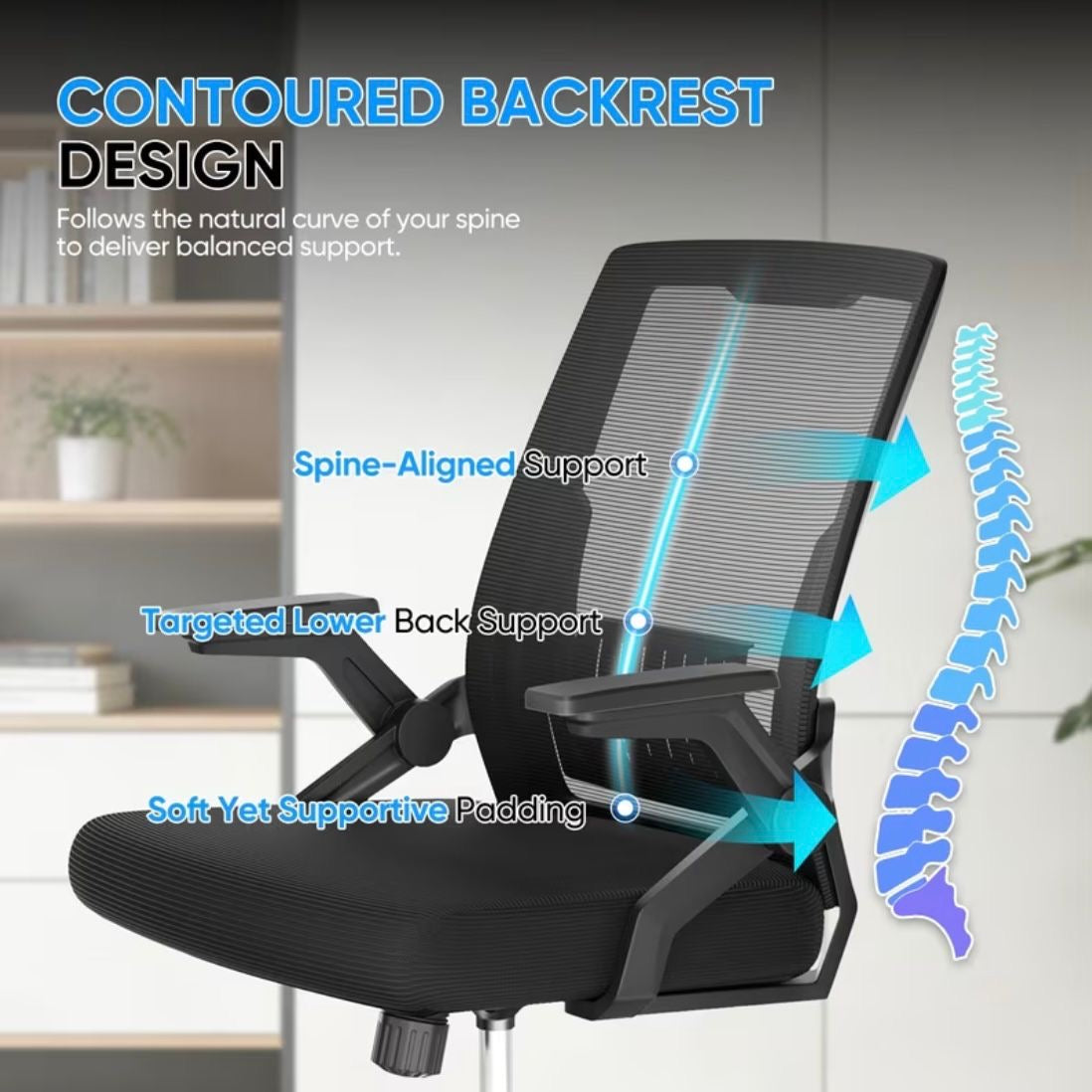 Office Chairs