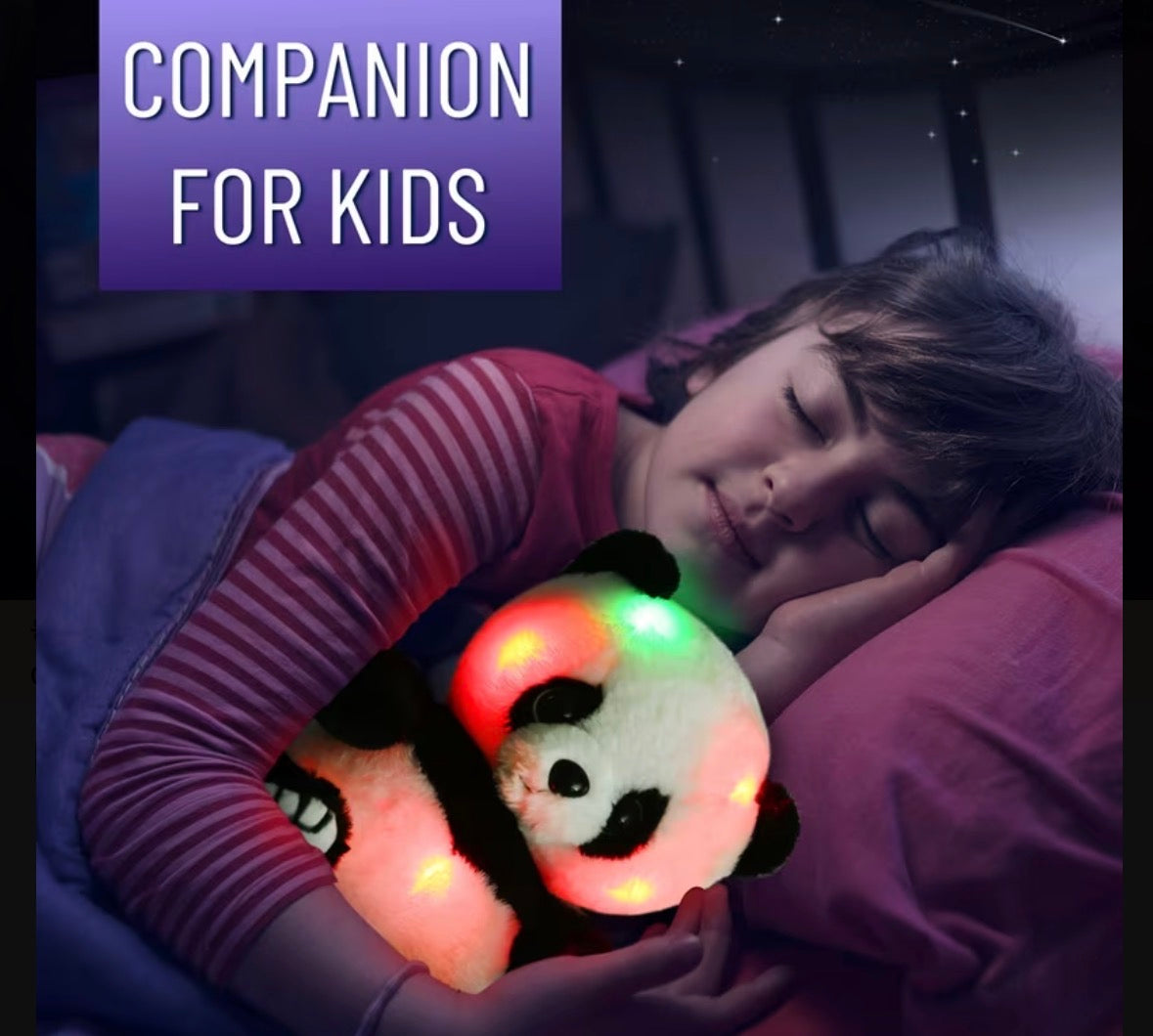 Light Up Bear