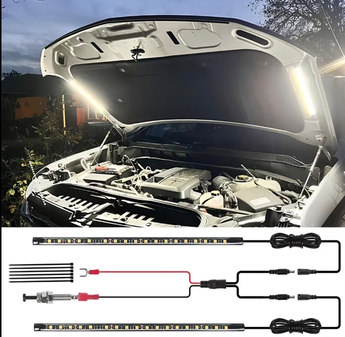 Bonnet LED Light Strips