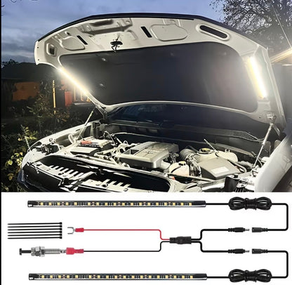 Bonnet LED Light Strips