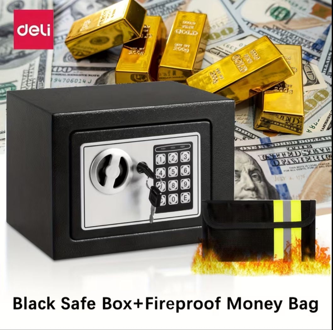 Mini / Small Safe
