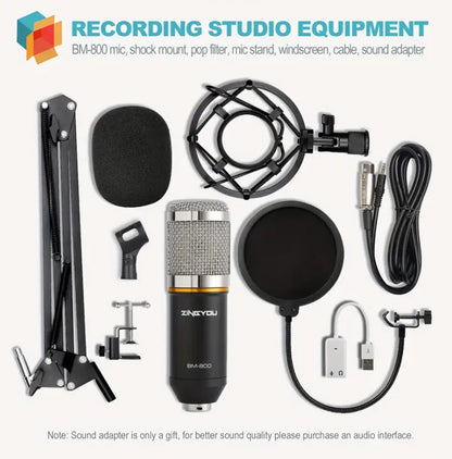 Studio Mic System