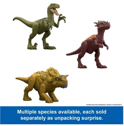 Dinosaur Set