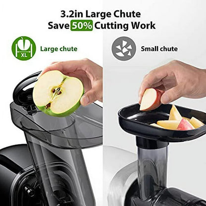 Slow Press Juicer