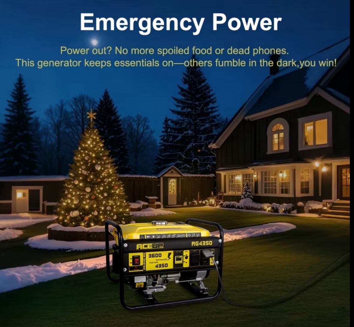 Large Generator