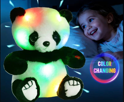 Light Up Bear